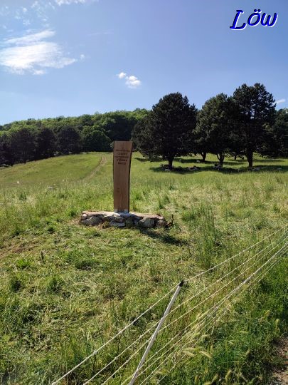 13.6.2023 - 13.6.2023 - Neu Tafel der Kuhheide 